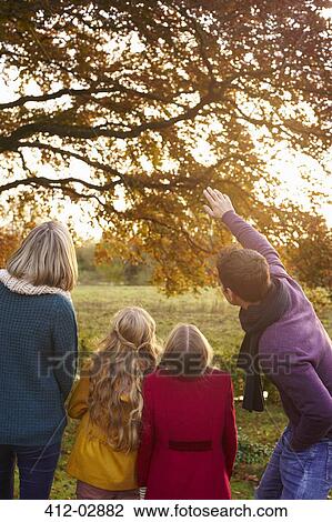 Family admiring autumn leaves in tree View Large Photo Image Stock Image - Family admiring autumn leaves in tree. Fotosearch