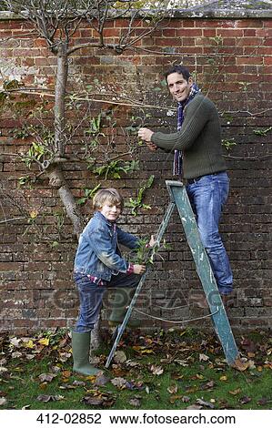 Father and son working in garden View Large Photo Image Stock Image - Father and son working in garden. Fotosearch
