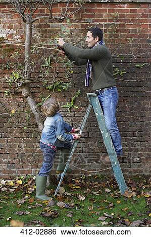 Father and son working in garden View Large Photo Image Stock Photograph - Father and son working in garden. Fotosearch