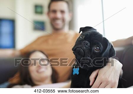 Couple relaxing with dog on sofa View Large Photo Image Stock Photography - Couple relaxing with dog on sofa. Fotosearch