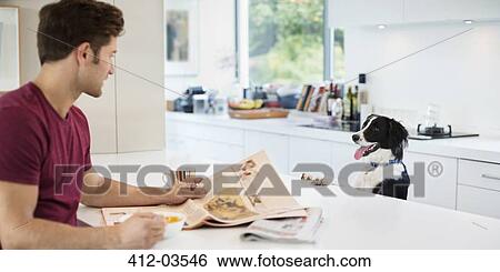 Dog begging at kitchen table View Large Photo Image Stock Photograph - Dog begging at kitchen table. Fotosearch
