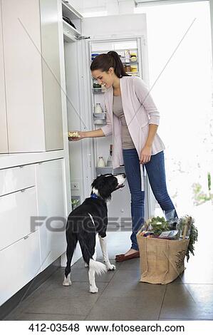 Stock Photo - Dog begging at open fridge. Fotosearch