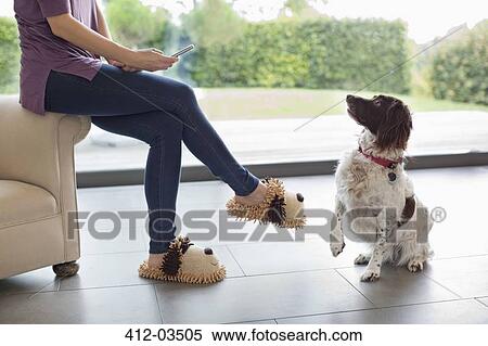 Dog sitting for woman with cell phone View Large Photo Image Stock Photography - Dog sitting for woman with cell phone. Fotosearch