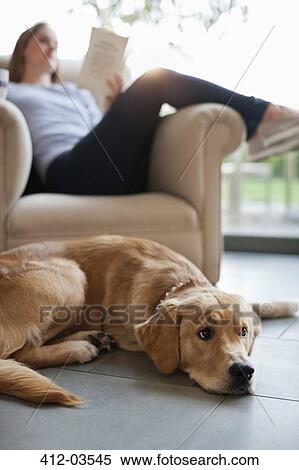 Dog sitting with woman in living room View Large Photo Image Stock Photography - Dog sitting with woman in living room. Fotosearch