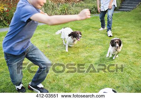 Family and dog playing in park View Large Photo Image Stock Image - Family and dog playing in park. Fotosearch