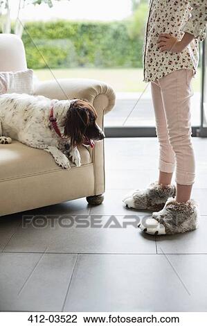 Girl scolding dog in armchair View Large Photo Image Stock Image - Girl scolding dog in armchair. Fotosearch
