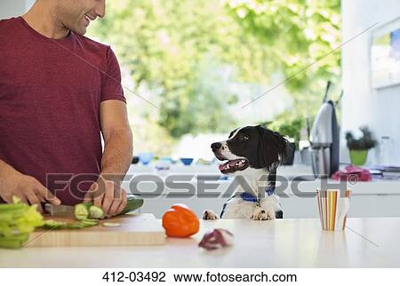 Man cooking with dog in kitchen View Large Photo Image Stock Image - Man cooking with dog in kitchen. Fotosearch