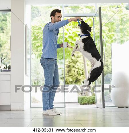 Man giving jumping dog treat in kitchen View Large Photo Image Stock Image - Man giving jumping dog treat in kitchen. Fotosearch