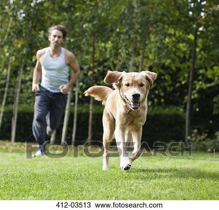 Man running with dog in park View Large Photo Image Stock Image - Man running with dog in park. Fotosearch