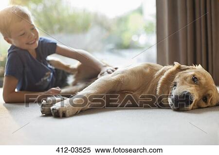 Smiling boy petting dog in living room View Large Photo Image Stock Photography - Smiling boy petting dog in living room. Fotosearch