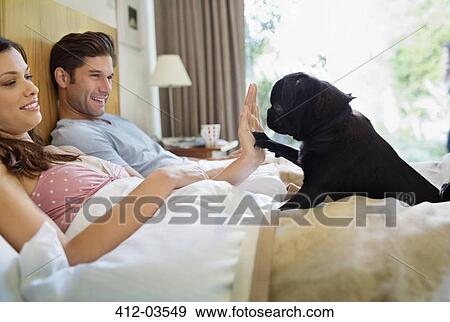 Stock Photo - Woman teaching dog 'high five' in bed. Fotosearch