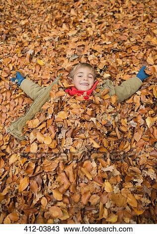 Boy laying in autumn leaves View Large Photo Image Stock Image - Boy laying in autumn leaves. Fotosearch