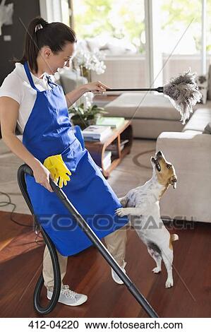 Maid playing with dog in living room View Large Photo Image Stock Image - Maid playing with dog in living room. Fotosearch