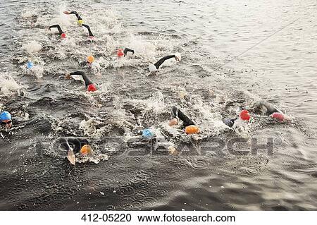 Triathletes swimming in water View Large Photo Image Stock Image - Triathletes swimming in water. Fotosearch