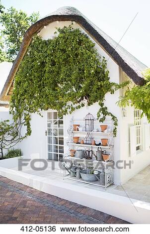 Stock Photograph - Ivy growing on wall in backyard. Fotosearch