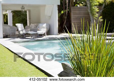 Plant and swimming pool in backyard View Large Photo Image Stock Image - Plant and swimming pool in backyard. Fotosearch