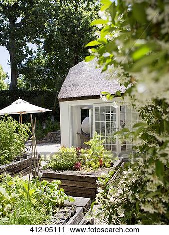 Stock Image - Planters and ivy growing in backyard. Fotosearch