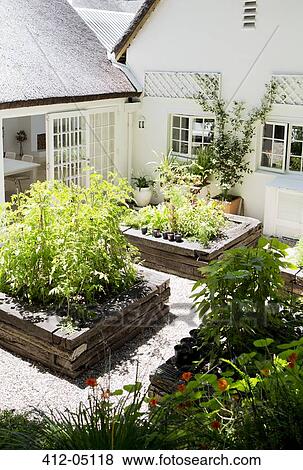 Planters in modern backyard View Large Photo Image Stock Photo - Planters in modern backyard. Fotosearch