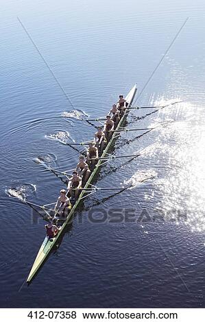Rowing team rowing scull on lake View Large Photo Image Stock Photo - Rowing team rowing scull on lake. Fotosearch