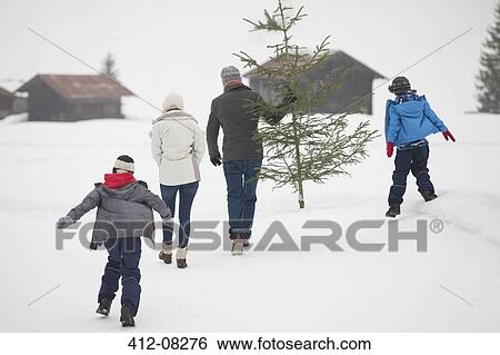 Family carrying fresh Christmas tree in snowy field View Large Photo Image Stock Photograph - Family carrying fresh Christmas tree in snowy field. Fotosearch