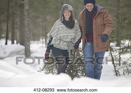 Stock Image - Happy couple dragging fresh Christmas tree in snowy woods. Fotosearch