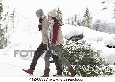 Stock Photo - Happy couple dragging fresh Christmas tree in snow. Fotosearch