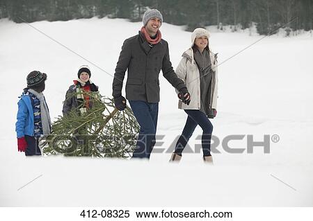 Smiling family dragging fresh Christmas tree in snowy field View Large Photo Image Stock Photography - Smiling family dragging fresh Christmas tree in snowy field. Fotosearch