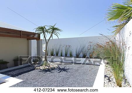 Palm tree in rock garden View Large Photo Image Picture - Palm tree in rock garden. Fotosearch