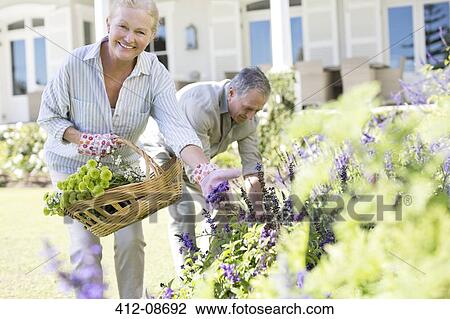 Senior couple picking flowers in garden View Large Photo Image Stock Image - Senior couple picking flowers in garden. Fotosearch