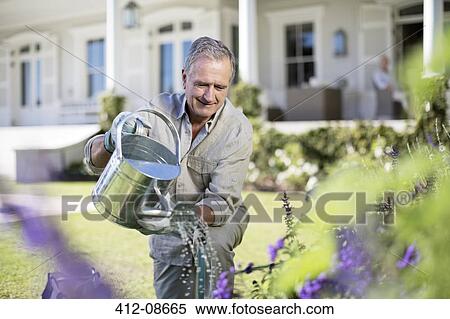 Stock Photography - Senior man watering plants in garden. Fotosearch