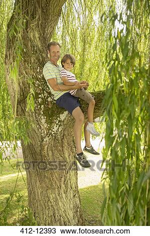 Father and son sitting in tree View Large Photo Image Stock Image - Father and son sitting in tree. Fotosearch