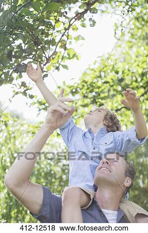 Father carrying son on shoulders below tree View Large Photo Image Stock Photo - Father carrying son on shoulders below tree. Fotosearch