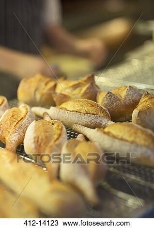 Close up of fresh bread in bakery View Large Photo Image Stock Image - Close up of fresh bread in bakery. Fotosearch