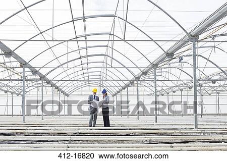 Architect and businesswoman in empty greenhouse View Large Photo Image Stock Image - Architect and businesswoman in empty greenhouse. Fotosearch