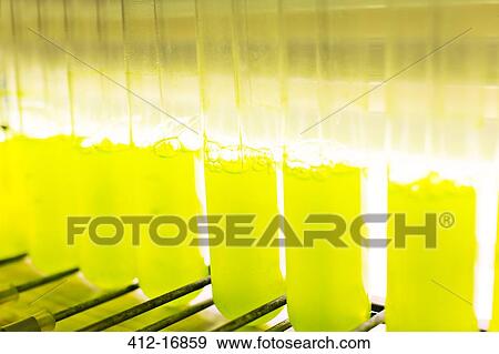 Close up of green liquid in test tubes View Large Photo Image Stock Photo - Close up of green liquid in test tubes. Fotosearch