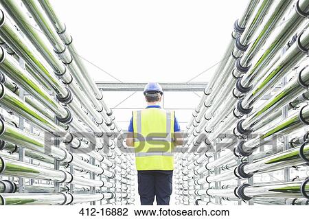 Engineer among irrigation pipes in greenhouse View Large Photo Image Stock Image - Engineer among irrigation pipes in greenhouse. Fotosearch