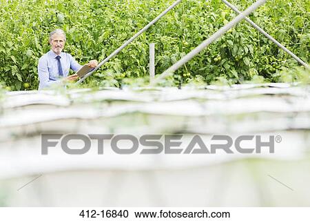 Stock Image - Portrait of botanist with digital tablet in greenhouse. Fotosearch