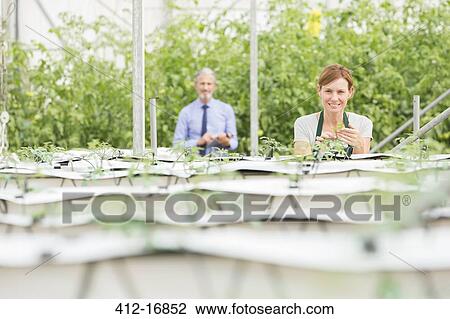 Stock Image - Portrait of botanists examining plants in greenhouse. Fotosearch