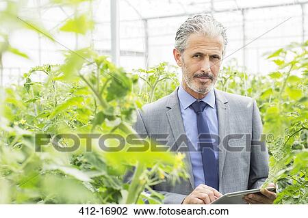 Stock Image - Portrait of business owner with digital tablet among tomato plants in greenhouse. Fotosearch