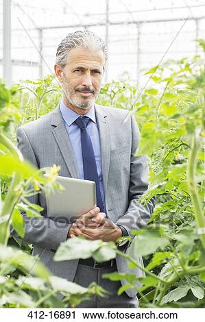 Portrait of confident business owner among tomato plants in greenhouse View Large Photo Image Stock Image - Portrait of confident business owner among tomato plants in greenhouse. Fotosearch