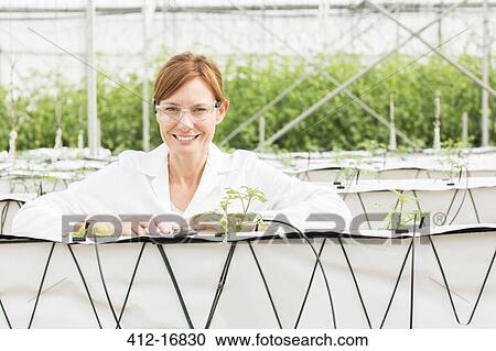Portrait of smiling scientist with plants in greenhouse View Large Photo Image Stock Image - Portrait of smiling scientist with plants in greenhouse. Fotosearch