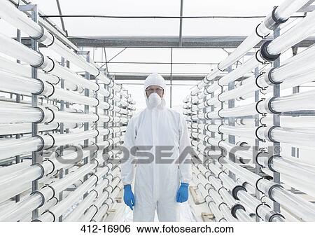 Portrait of worker in clean suit among irrigation pipes in greenhouse View Large Photo Image Stock Photograph - Portrait of worker in clean suit among irrigation pipes in greenhouse. Fotosearch