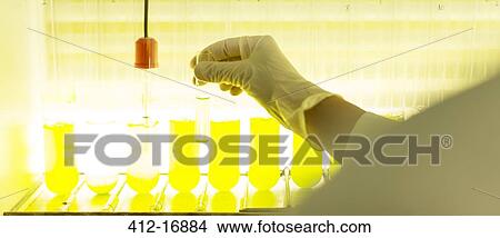 Picture - Scientist examining test tubes with green liquid. Fotosearch