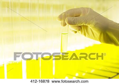 Scientist holding test tube with green liquid View Large Photo Image Stock Photo - Scientist holding test tube with green liquid. Fotosearch