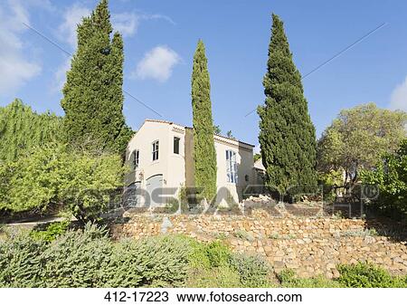 Luxury villa surrounded by trees View Large Photo Image Stock Image - Luxury villa surrounded by trees. Fotosearch