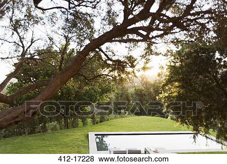 Tranquil backyard with swimming pool View Large Photo Image Stock Photo - Tranquil backyard with swimming pool. Fotosearch