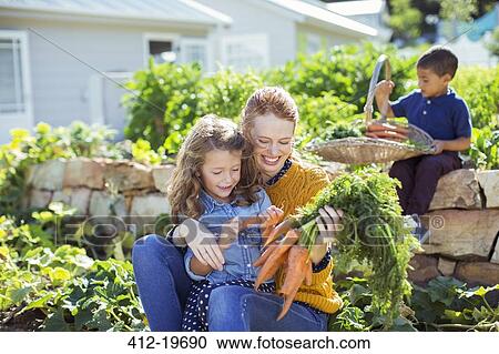 Student and teacher picking carrots in field View Large Photo Image Stock Image - Student and teacher picking carrots in field. Fotosearch