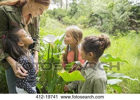 Students and teacher examining plants outdoors View Large Photo Image Stock Image - Students and teacher examining plants outdoors. Fotosearch