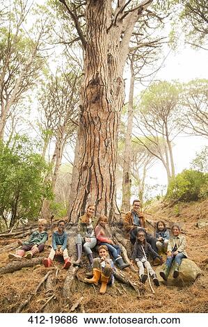 Students and teachers sitting on tree in forest View Large Photo Image Stock Photograph - Students and teachers sitting on tree in forest. Fotosearch