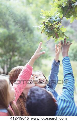 Teacher and students reaching for leaves on tree View Large Photo Image Stock Photography - Teacher and students reaching for leaves on tree. Fotosearch